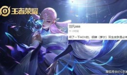 aov最新皮肤爆料,炫酷造型与独特技能，带你领略视觉盛宴